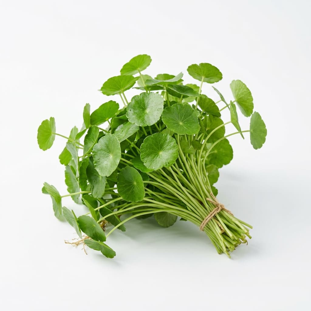 Rau má lá nhỏ