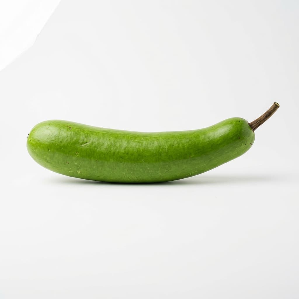 Bầu