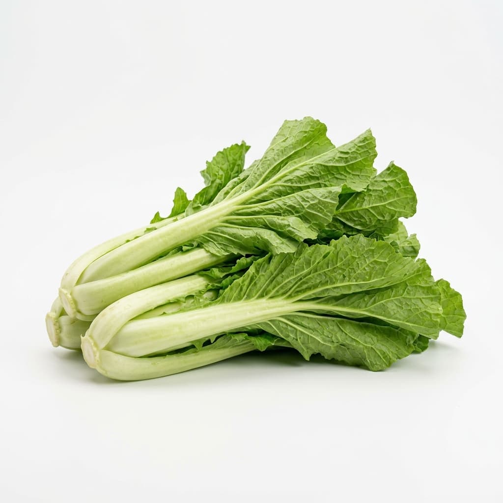 Cải sậy