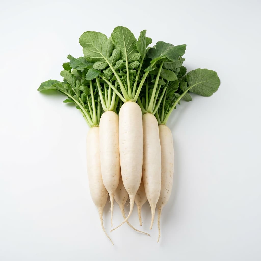 Củ cải trắng