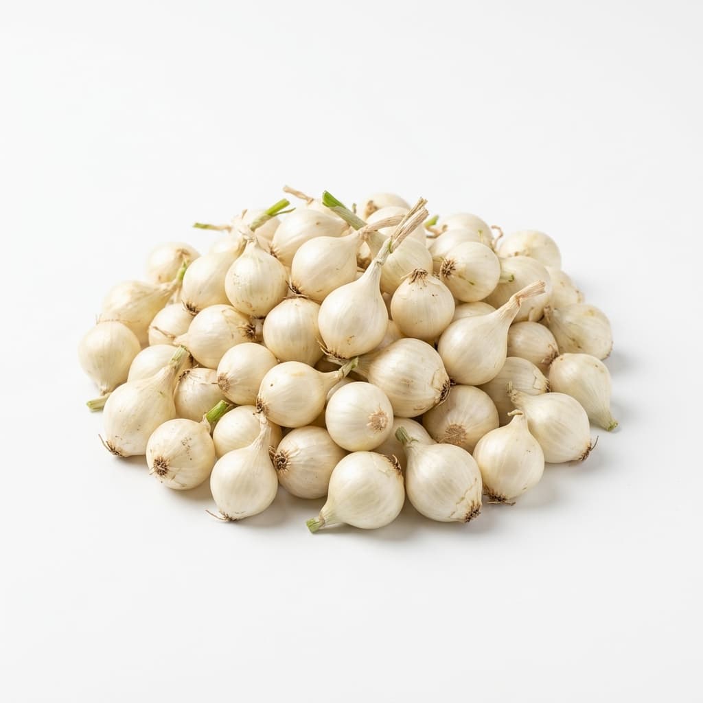 Củ nén
