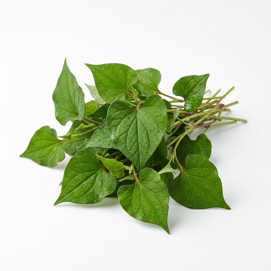 Diếp cá